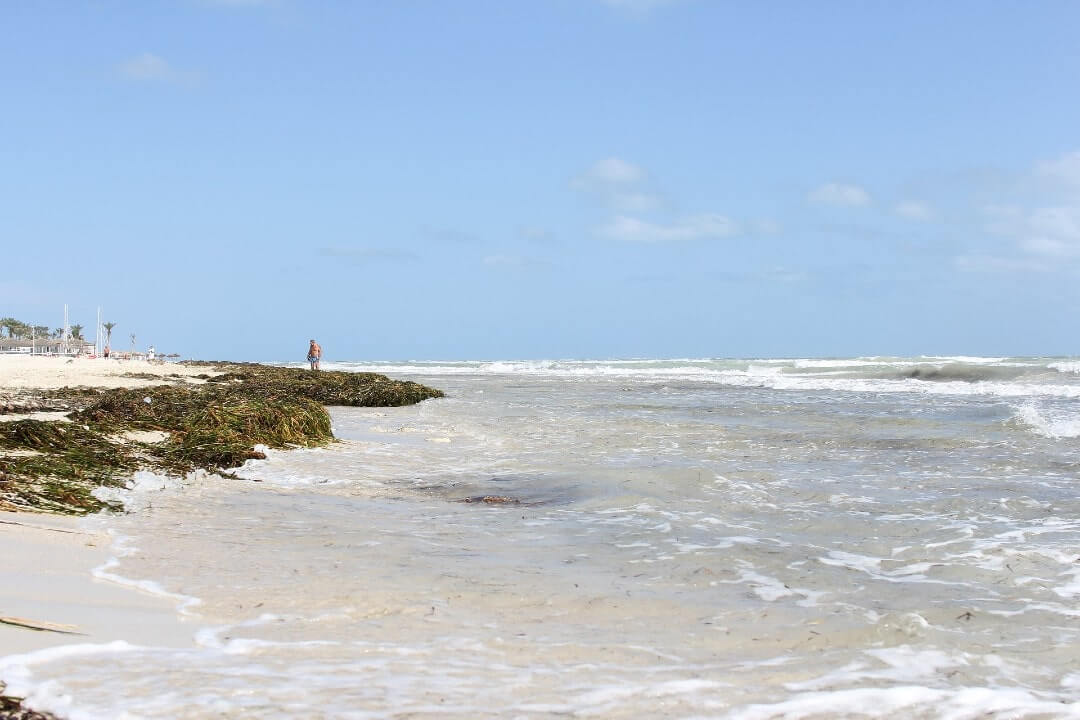 Costa dell'isola di Djerba in Tunisia.