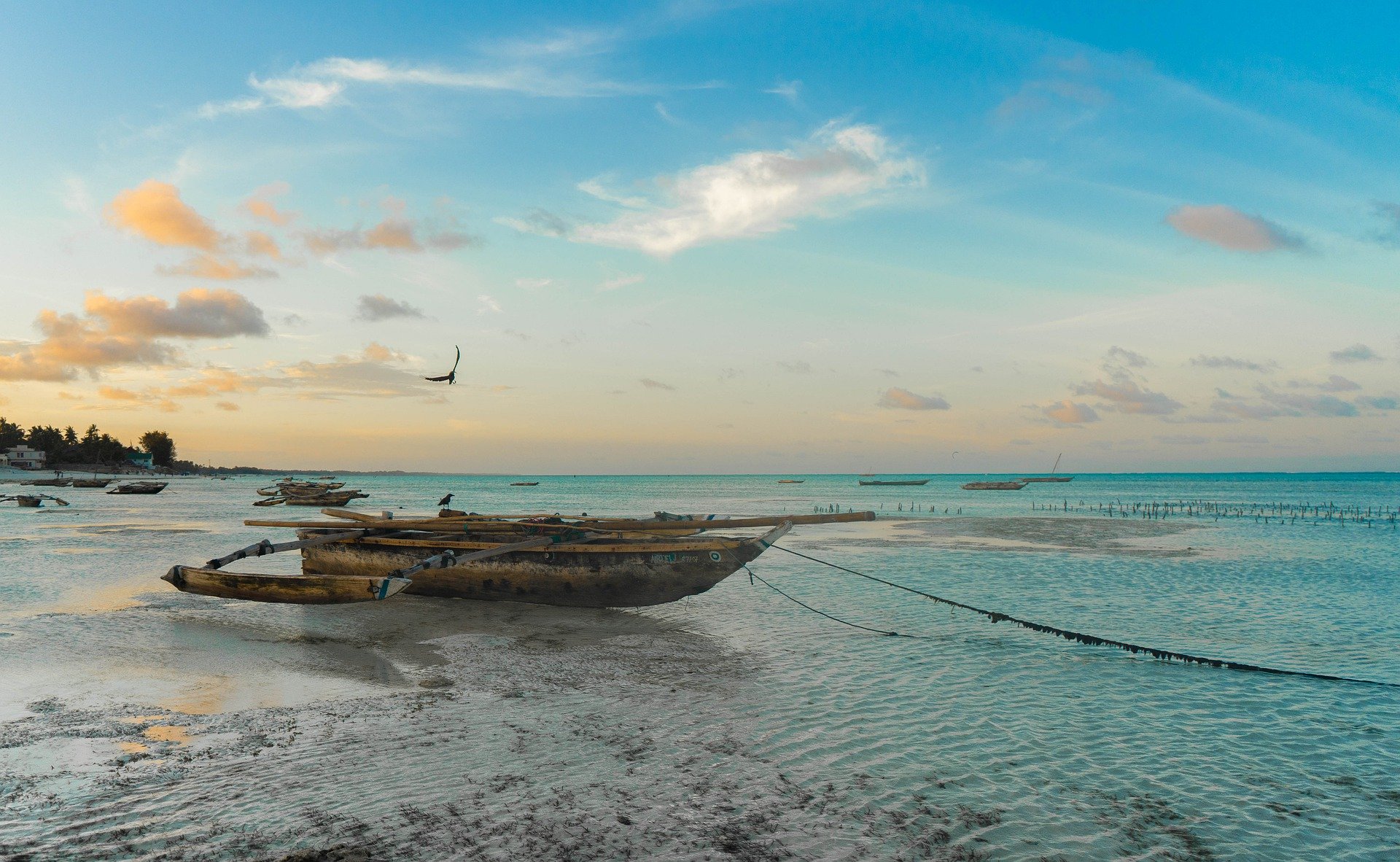 Le splendide acque di Zanzibar, tra le mille meraviglie da esplorare con l'assicurazione viaggio Tanzania di Amerigo.it