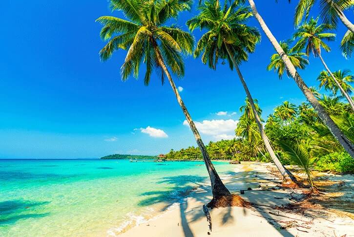 Palme e mare in una spiaggia bianca alle isole Fiji.