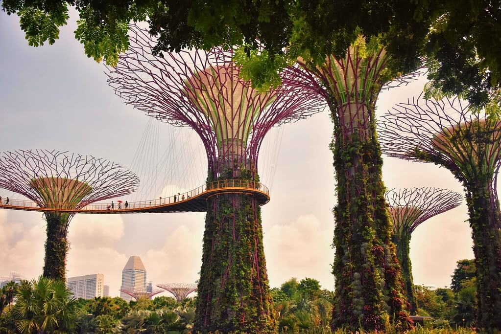 Immagine panoramica di Garden's Bay The Bay, Singapore.