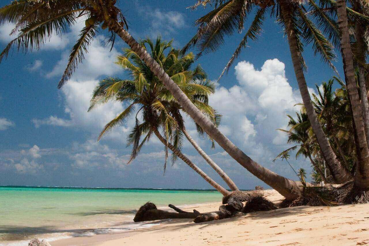 Palme e sabbia bianca a Little Corn Island. Le spiagge in Nicaragua e le Corn Islands.