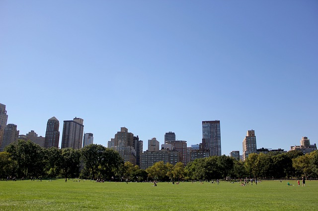 Central Park, il polmone verde di New York. Scopri cosa vedere in una vacanza di 5 giorni con Amerigo.it