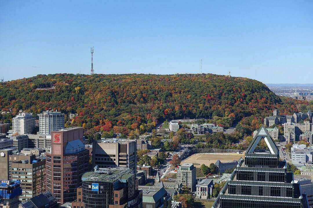 Vista del Parc du Mount Royal, a Montréal.