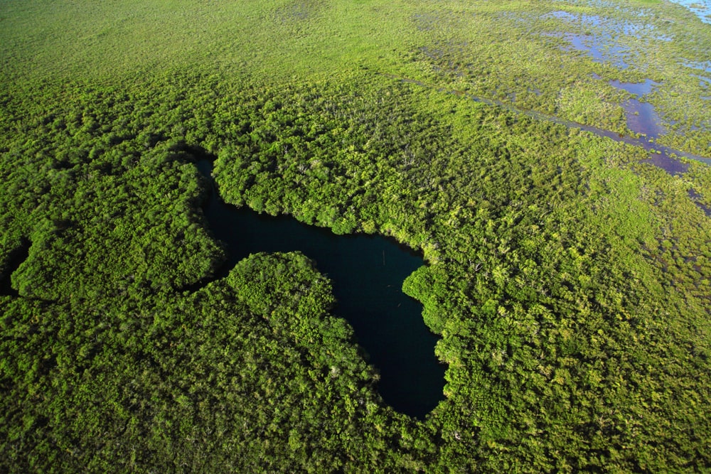 Il verde della palude della biosfera di Sian Ka'an visto dall'alto