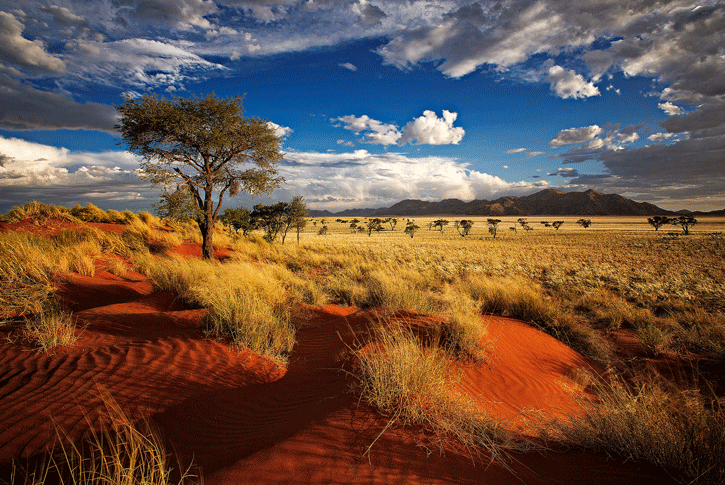 L'arida savana: cosa fare in un viaggio in Namibia Fai da te?