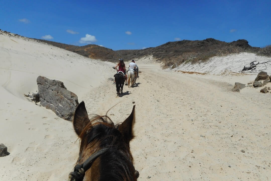 Turisti in escursione a cavallo nel Parco Nazionale dell'Arikok, Aruba.