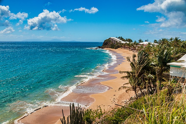 Le spiagge di Antigua sono costeggiate da una ricca e folta vegetazione. Quando andare ad Antigua? Scoprilo coi consigli di Amerigo.it