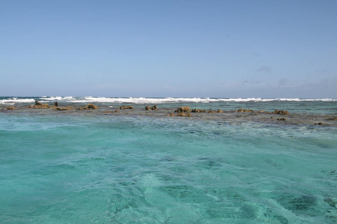 Una foto della Barriera corallina del Belize che affiora dalla superficie del mare.