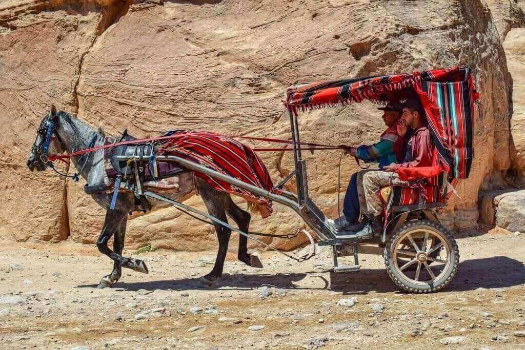 Turista trasportato su un carro trainato da un cavallo a Petra.