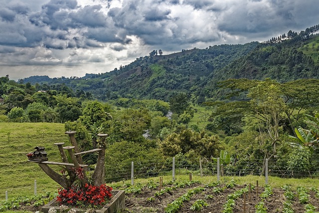 La natura rigogliosa e incontaminata di Salento, uno dei luoghi principali per sapere cosa vedere in Colombia