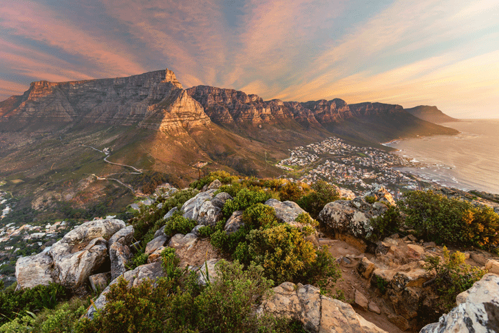 Cape Town, cosa vedere in un viaggio in Sudafrica Fai da te?