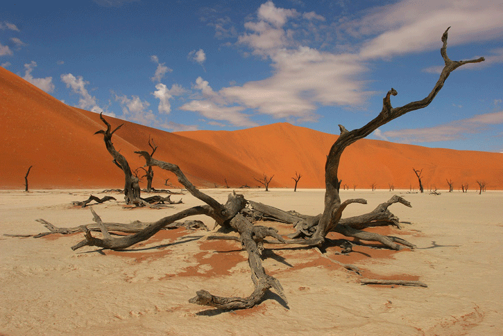Il deserto del Namib.