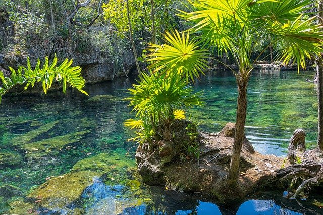 Uno dei cenote dello Yucatàn, splendide grotte naturali di acqua dolce. Scopri cosa vedere in Messico con le guide di Amerigo.it