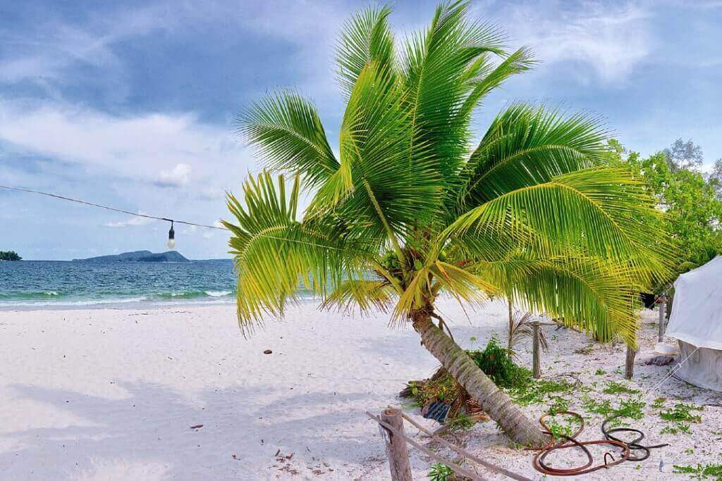 Una tenda e una palma sulla spiaggia di Koh Rong, in Cambogia.