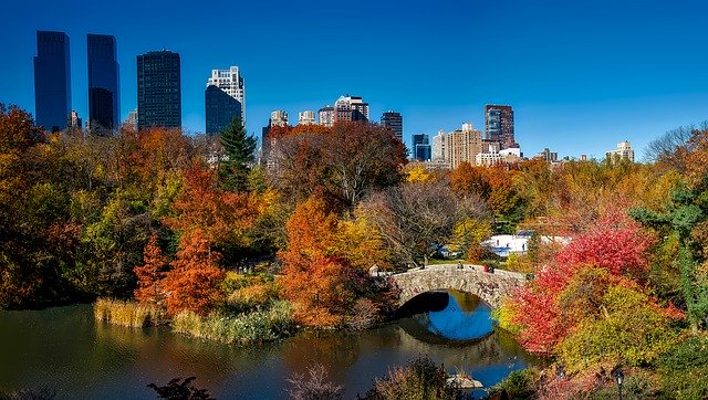 I colori dell'autunno di New York visti da Central Park. Scopri quando andare a New York con Amerigo.it