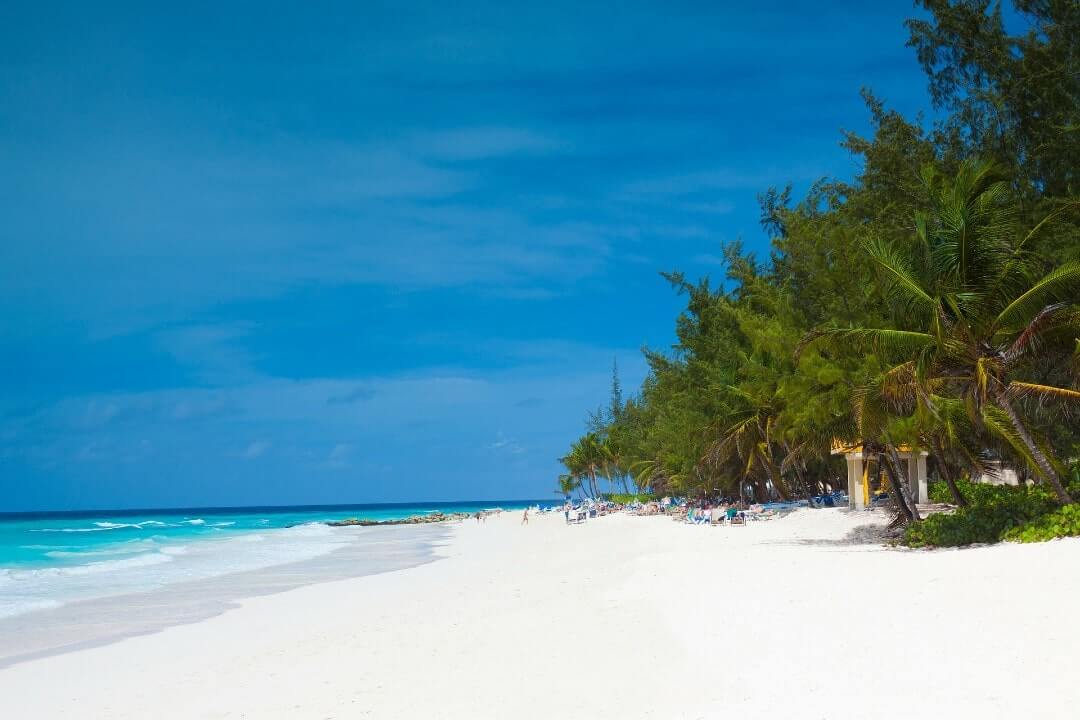 Diversi bagnanti su una bellissima spiaggia dell'isola di Barbados.