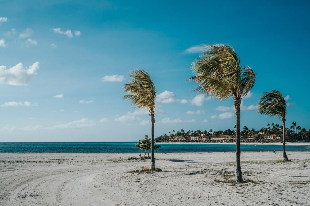 La spiaggia di Palm Eagle ad Aruba.