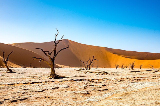 Il meraviglioso deserto africano. Parti sicuro e informato con l'assicurazione di viaggio per la Namibia di Amerigo.it