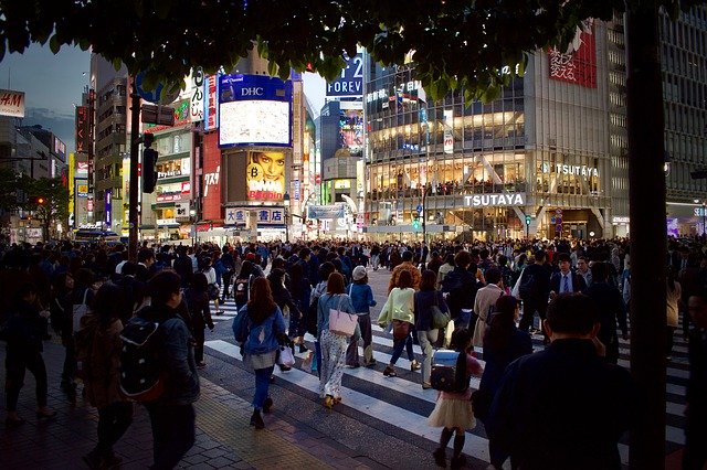 Le strade di Tokyo. Segui i consigli di Amerigo per sapere qual è il periodo migliore per andare in Giappone