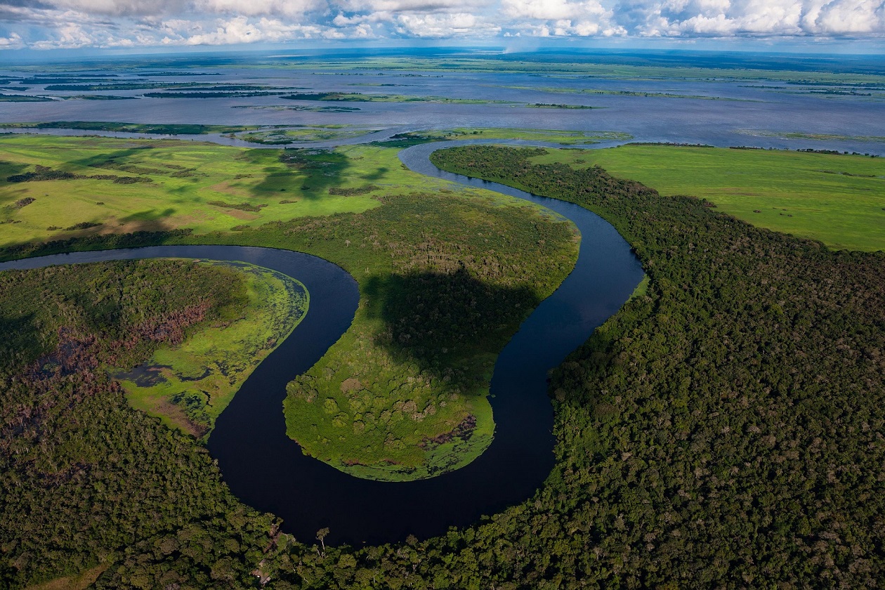 Foresta e natura incontaminata: solo alcune delle immense meraviglie da assaporare con l'assicurazione viaggio Congo di Amerigo.it 