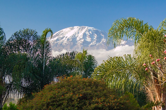 La vetta del Kilimangiaro. Scopri quando andare in Tanzania con le guide di Amerigo