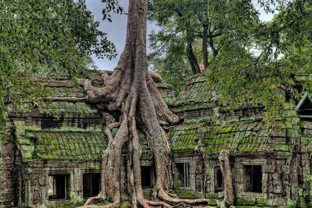 La natura nel sito di Angkor Wat: Cosa c'è da vedere in Cambogia?