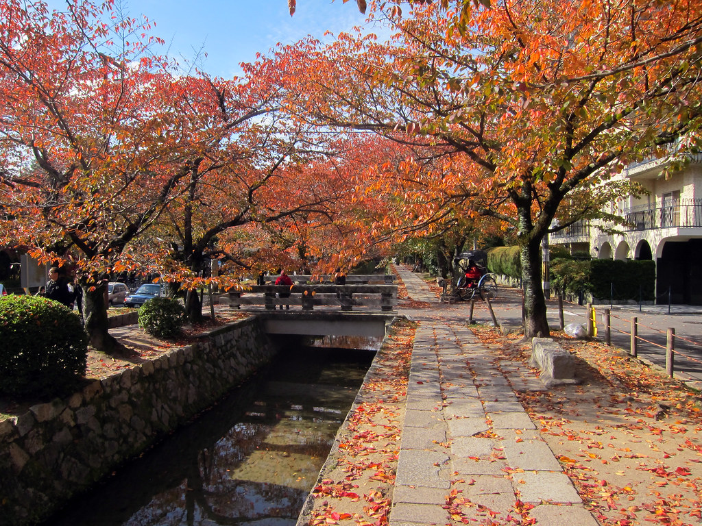 Tetsugaku no michi, la passeggiata del filosofo. tra i più affascinanti luoghi di interessi di Kyoto e del Giappone 