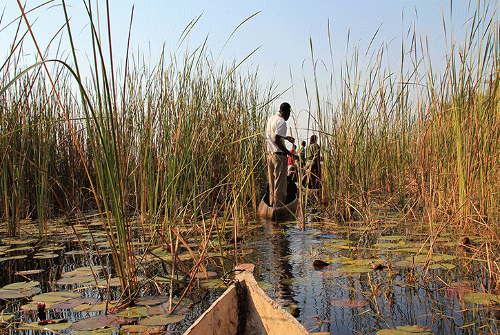 Navigazione lungo il fiume Okavango.