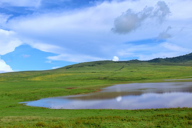 Il verde delle pianure di Ngorongoro, tra le cose più belle da vedere una volta scelto quando andare in Tanzania